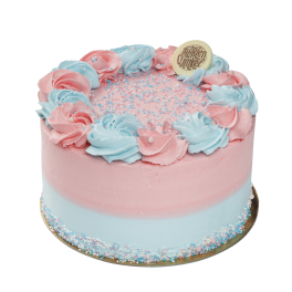 Gender Reveal Layer Cake