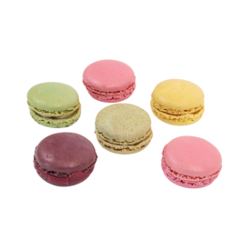 Macarons Petit Paris "Fruity"